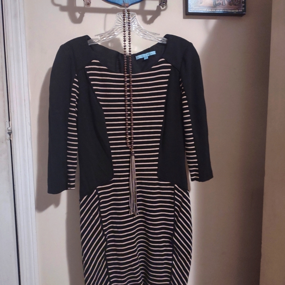 Antonio Melani Striped Dress Size 6